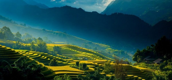 TOUR SAPA – CÁT CÁT – MOANA – FANSIPAN - CỔNG TRỜI Ô QUY HỒ – HÀ NỘI 2024